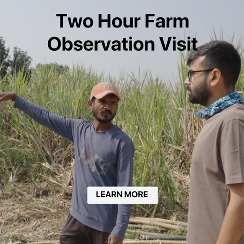 Farm Observation Visit