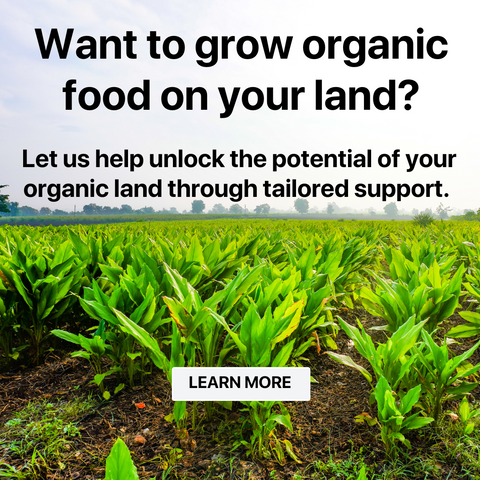 1 hour Organic Farm Consulting Call