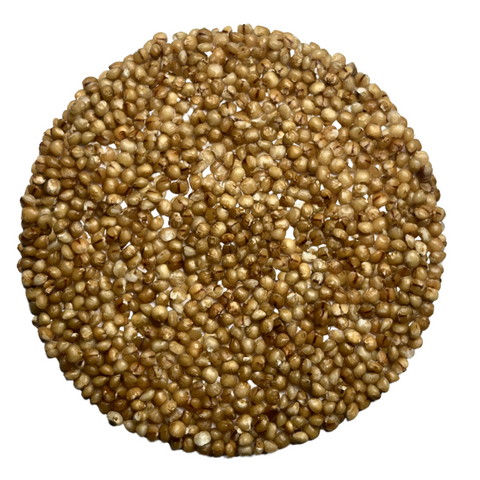 Kodo Millet