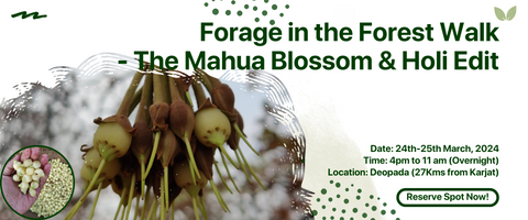 Forage in the Forest Walk- Mahua Blossom & Holi Edit