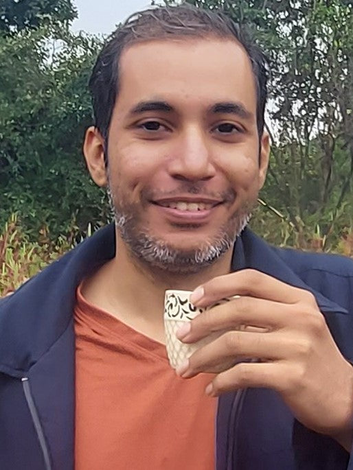 Alt Image