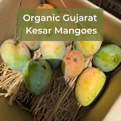 Gujarat Kesar Mangoes [Mumbai Only]